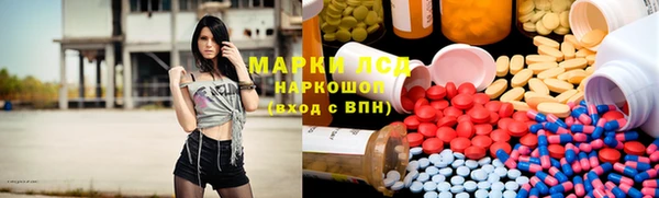 spice Богородицк