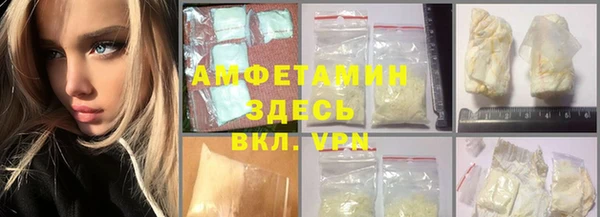 spice Богородицк