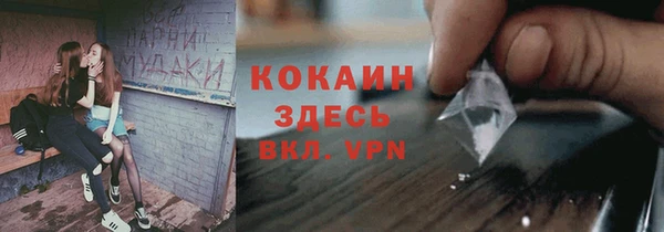 spice Богородицк