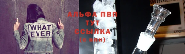 spice Богородицк