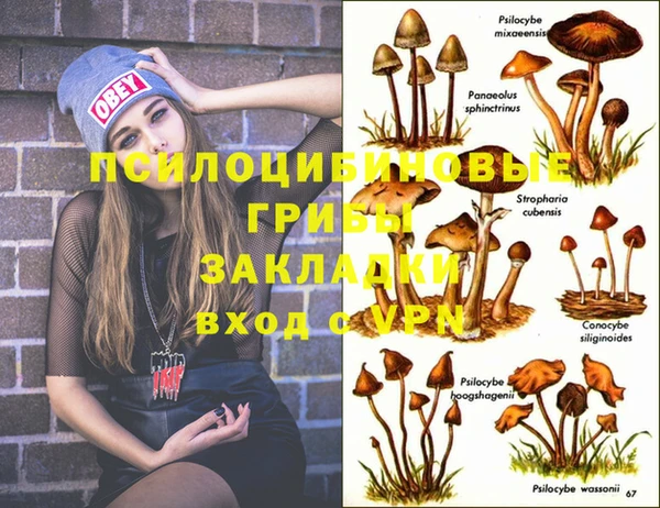 spice Богородицк