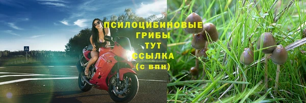 spice Богородицк