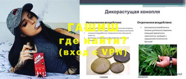 spice Богородицк