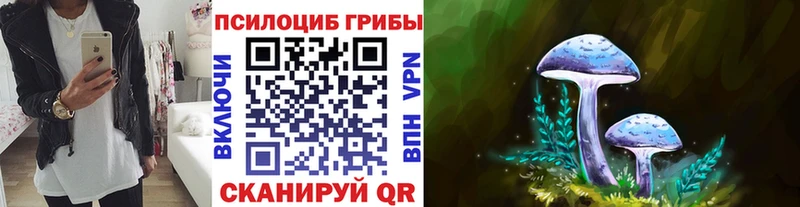 Купить где Партизанск Галлюциногенные грибы прущие грибы
